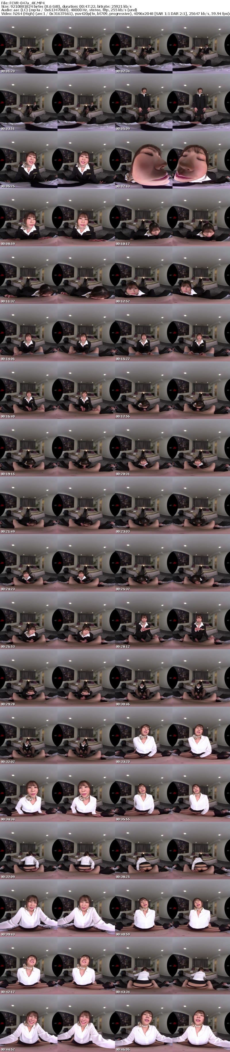 [虛擬實境VR] FCVR-047 【VR】【Fitch高画質8K肉感VR】藤森ひなみが遂にVR解禁！ 普段は気配り上手で礼儀正しいCAのひなみが今日に限ってめちゃくちゃ不機嫌で… 機長の俺が叱られ淫語で一晩中責められ続ける不倫中出しSEX