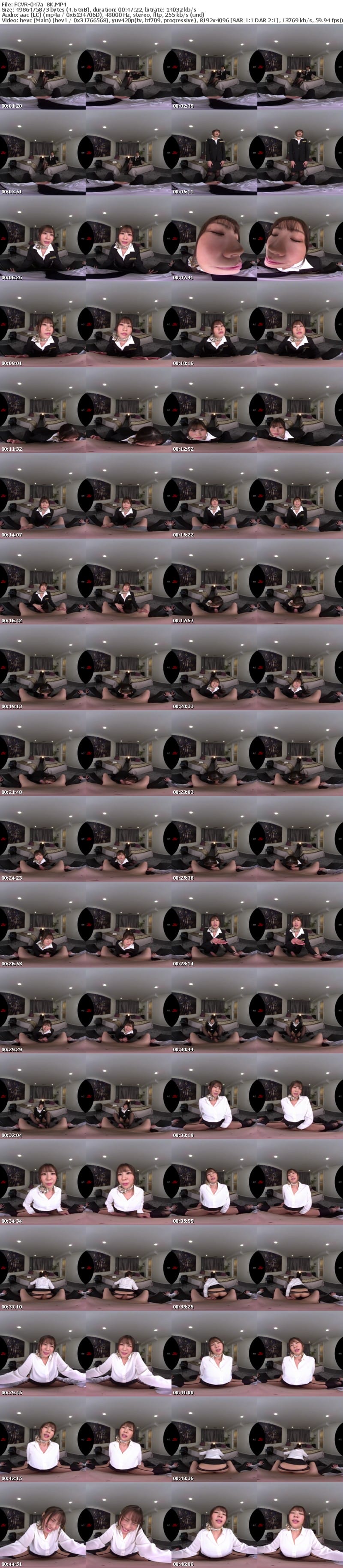 [虛擬實境VR] FCVR-047 【VR】【Fitch高画質8K肉感VR】藤森ひなみが遂にVR解禁！ 普段は気配り上手で礼儀正しいCAのひなみが今日に限ってめちゃくちゃ不機嫌で… 機長の俺が叱られ淫語で一晩中責められ続ける不倫中出しSEX