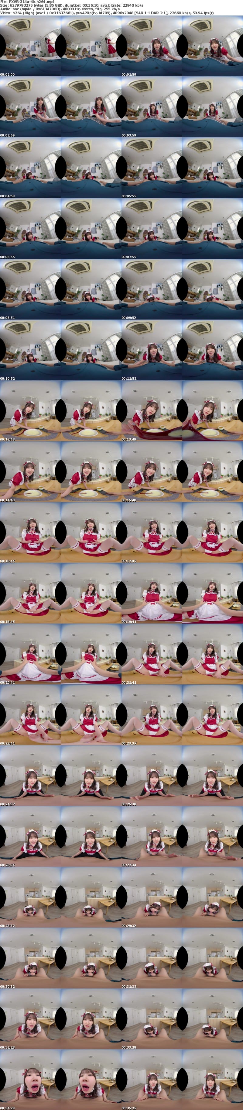 [虛擬實境VR] PXVR-314 【VR】家事も性処理も超一流！！朝フェラから夜の営みまで24 時間生放題のエリートメイド 依本しおり【8K】