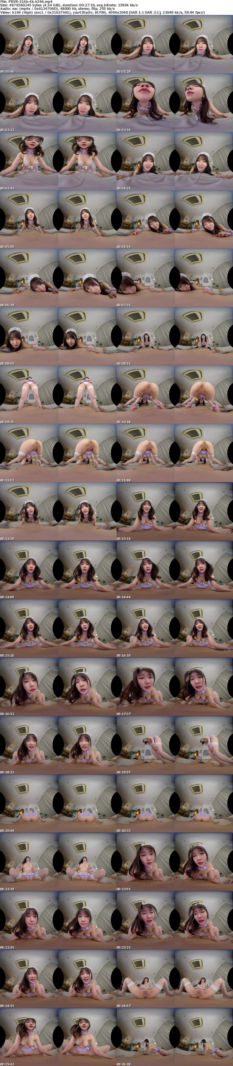 [虛擬實境VR] PXVR-314 【VR】家事も性処理も超一流！！朝フェラから夜の営みまで24 時間生放題のエリートメイド 依本しおり【8K】