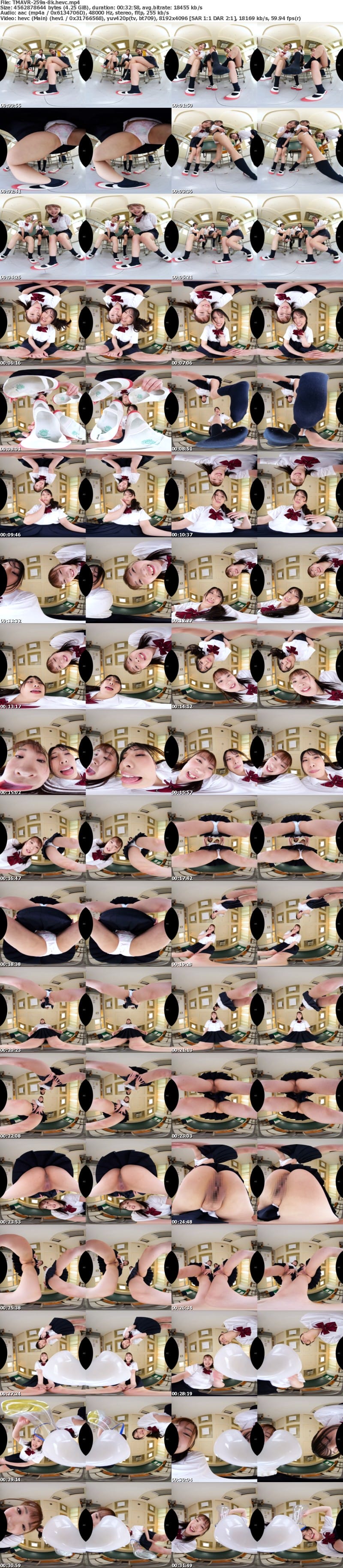 [虛擬實境VR] TMAVR-259 【VR】カースト最上位の一軍女子に蔑まれ踏まれて性奴●に昇格したボク