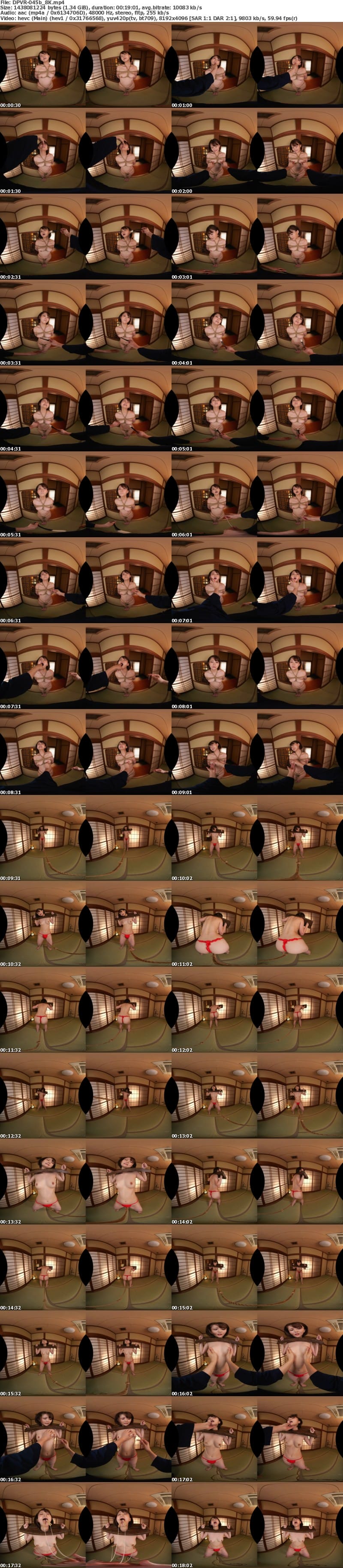 [虛擬實境VR] DPVR-045 【VR】VR 緊縛調教妻 音琴るい 尻穴調教