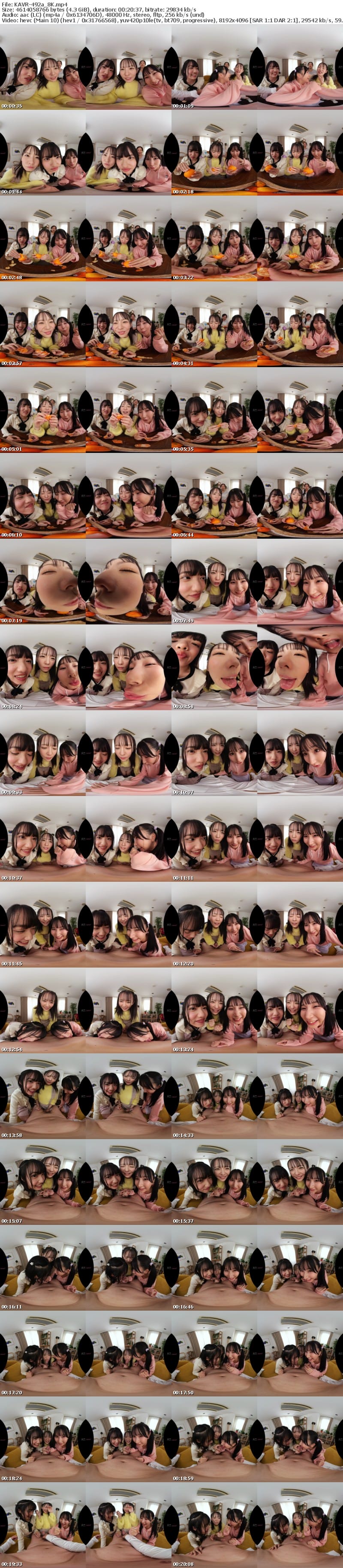 [虛擬實境VR] KAVR-492 【VR】顔面特化×ベロキス×ハーレム痴女っ娘（こ） 顔面優勝すぎる姪っ子3姉妹の幼つるまんにありったけの精子ドピュッドピュッドピュッ 西元めいさ 八坂凪 由良かな