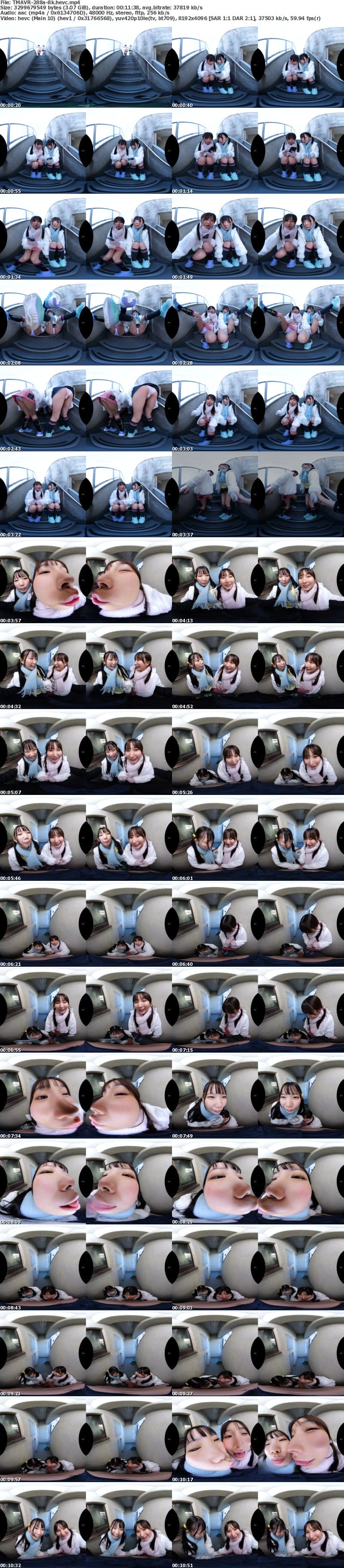 [虛擬實境VR] TMAVR-288 【VR】真・葛飾共同区営団地 連れ込み美少女いたずら映像