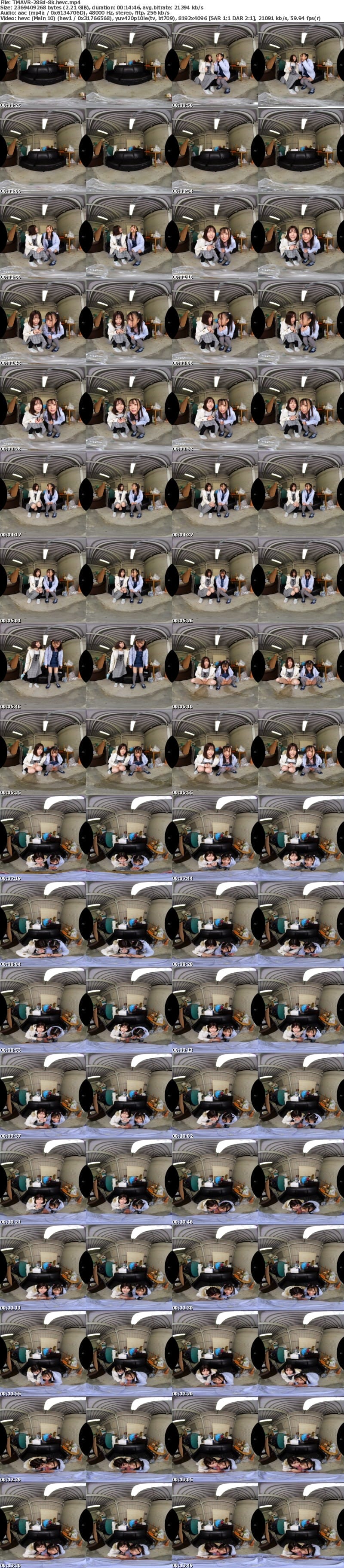 [虛擬實境VR] TMAVR-288 【VR】真・葛飾共同区営団地 連れ込み美少女いたずら映像